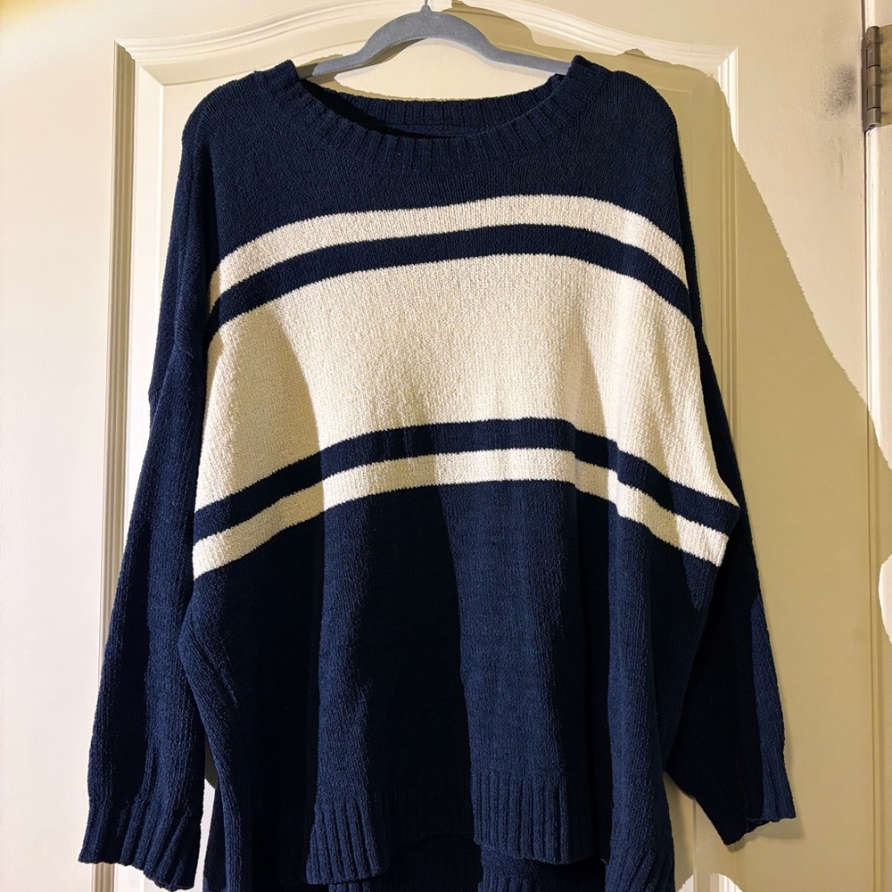 American Eagle Outfitters Blue and White Crew Neck Sweater